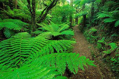 国产冷兵器战争沙盒游戏《帝国神话》全球先行封测10月2日开启